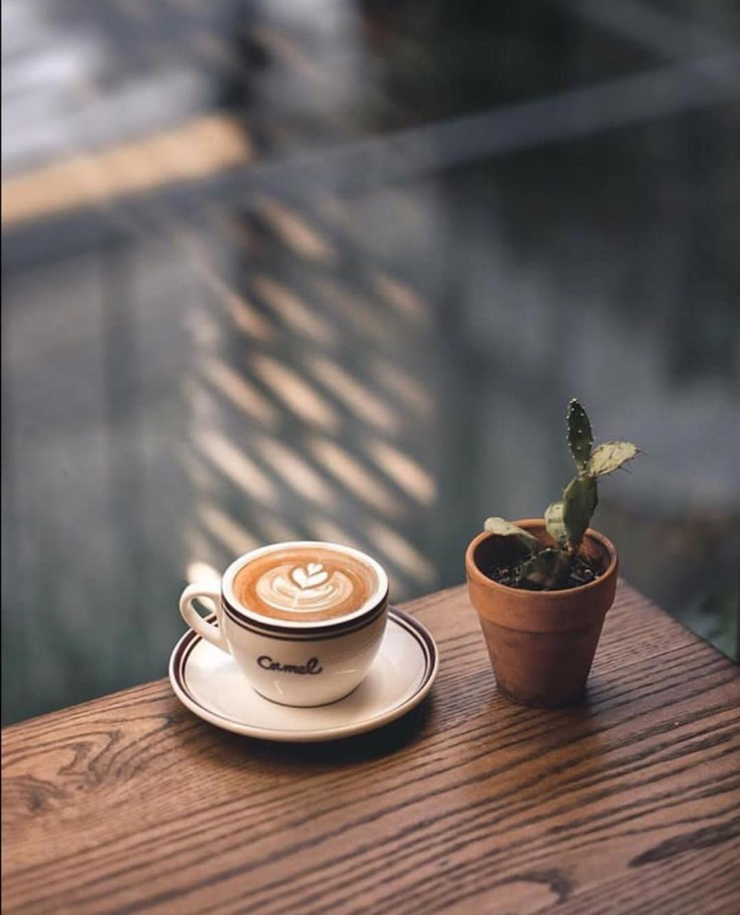 Hình ảnh uống cà phê một mình vào buổi sáng